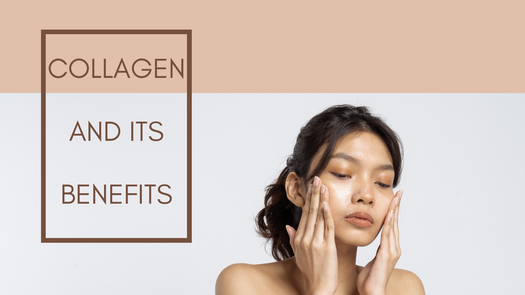 The Collagen Connection: Your Guide to the Body's Super Protein