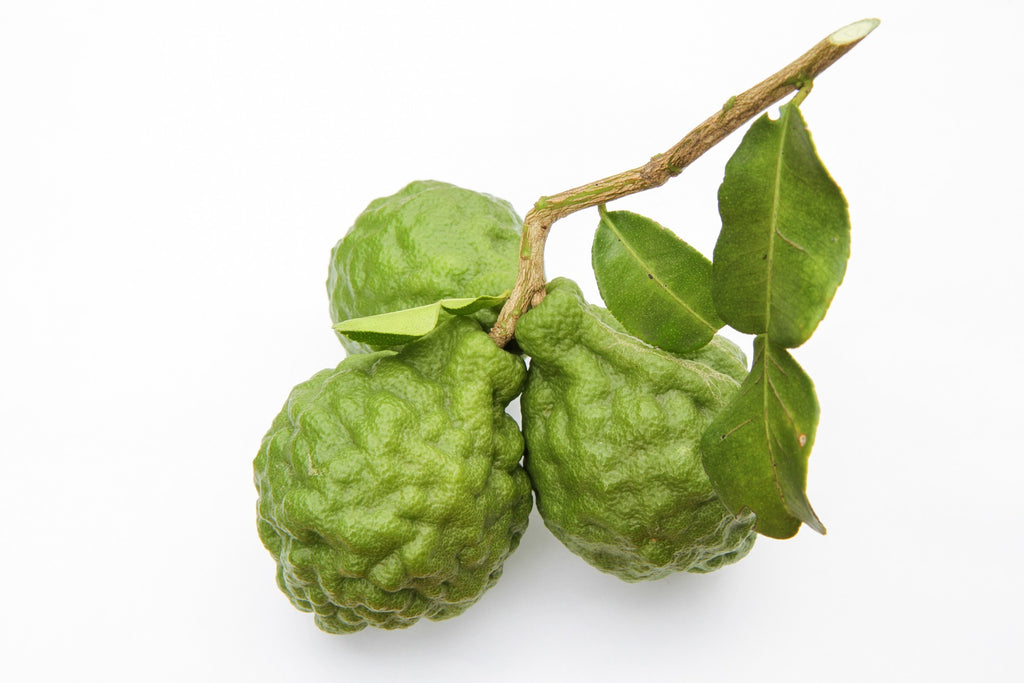 Bergamot vs. Statins: Related to Heart Attacks: Research Blood Pressure, HDL, LDL, TRI Results