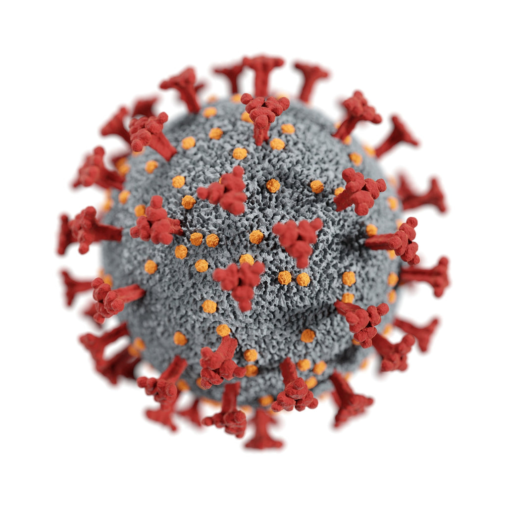 Coronavirus Defense