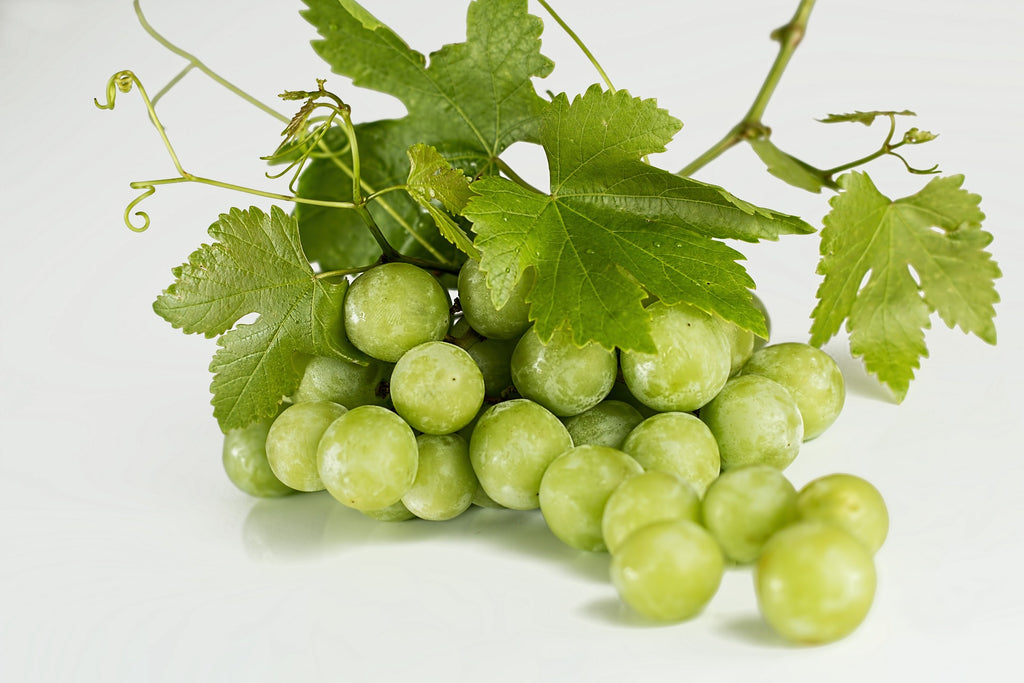Grape Seed Extract 100