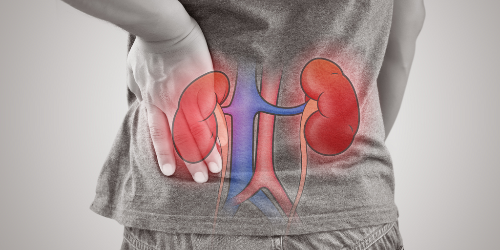 Kidney Function, the Heart, and What Those Have to Do with Diabetes