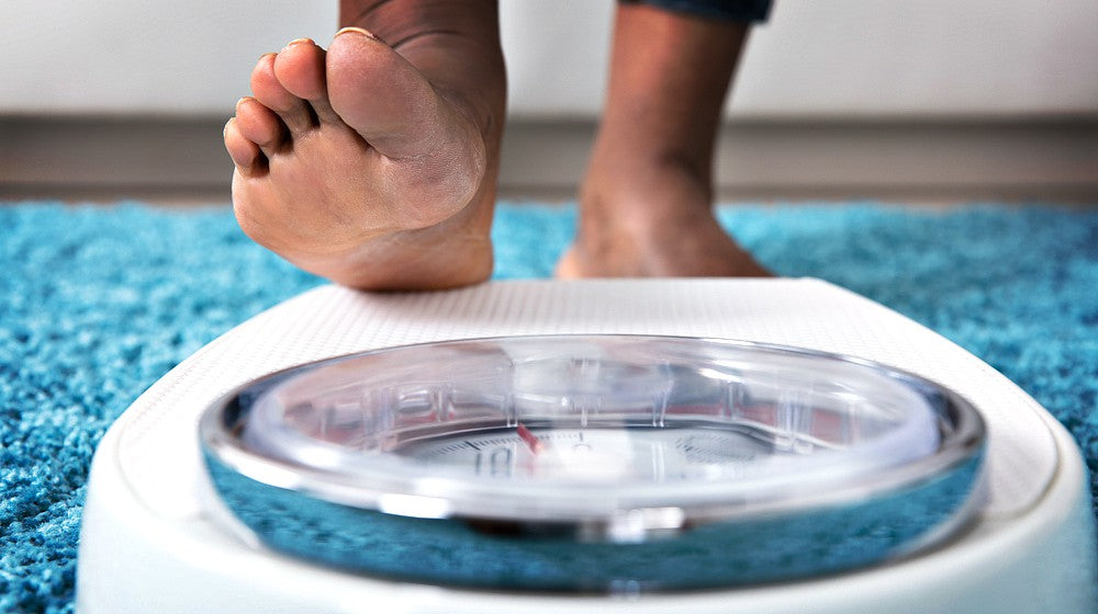 Probiotics To Lose Weight