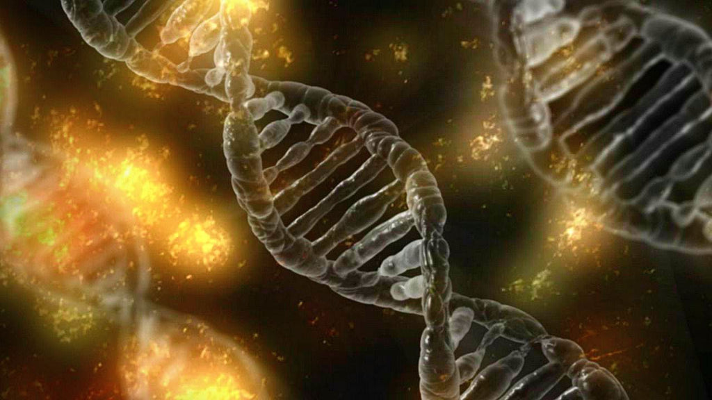 What is MTHFR? Gene Mutation Diagnosis, Symptoms and Natural Remedies