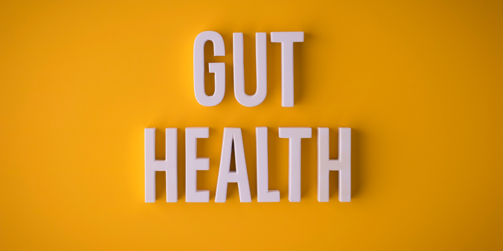 Gut Microbiome: The Key to Long-Lasting Health