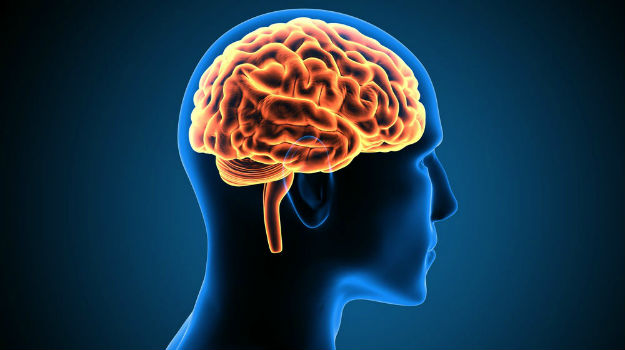 Ortho Molecular Cerenity: Improve Your Brain