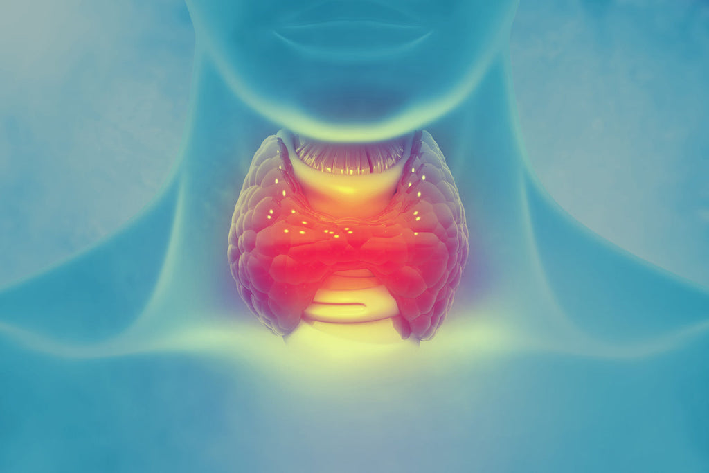 Thyroid Awareness Month: Essential Insights for Your Health 👨🏻‍⚕️