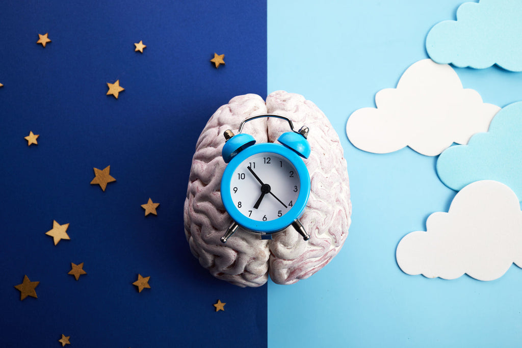 Celebrate World Sleep Day: Understanding Your Sleep Cycle and Circadian Rhythm  🛌  💤