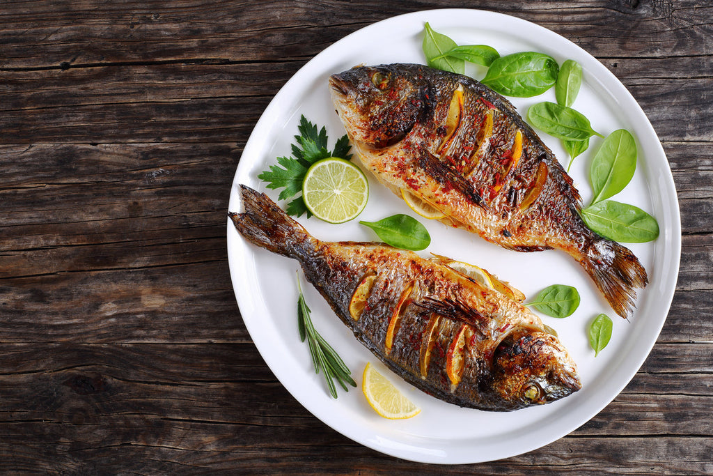 Nothing Fishy About It: The Role of Fish in Our Diet 🐟