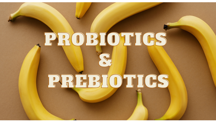Probiotics and Prebiotics: The Dynamic Duo for Gut Health 🌿