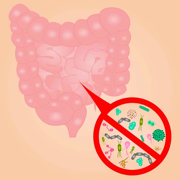 SIBO What is it: Small intestinal Bacterial Overgrowth
