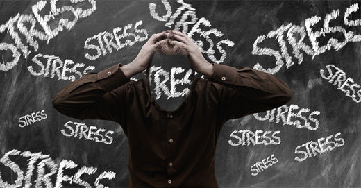 How Stress Changes Our Bodies and Brains