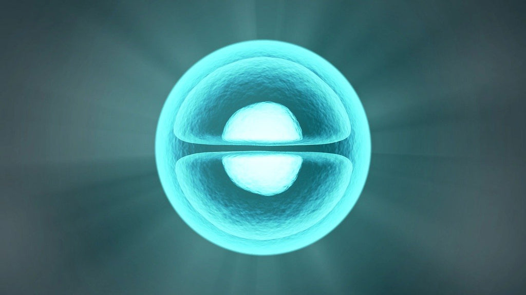 Sphere - Mitochondria