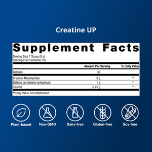 Muscle Gains Bundle 6