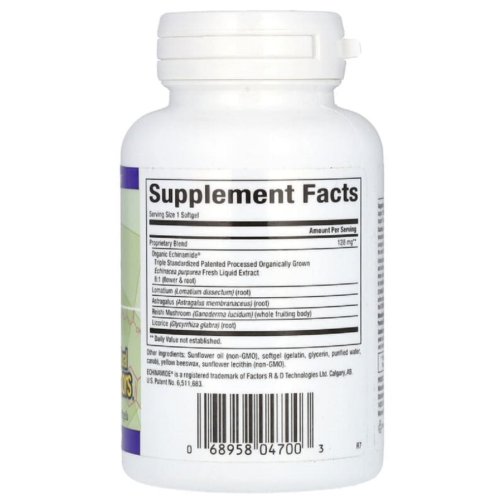 Natural Factors, Anti-V Formula ECHINAMIDE 60 Softgels Ingredients