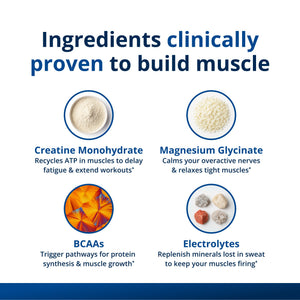 Muscle Gains Bundle 5