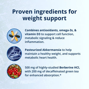 Precision Weight & Hormone Balance for Men by Dr. Bridget Briggs, MD 5