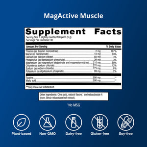 Muscle Gains Bundle 8