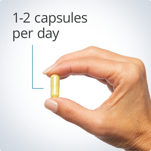 Quercetin 500 mg 2