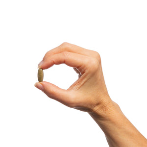 Echinacea Synergy™ 2