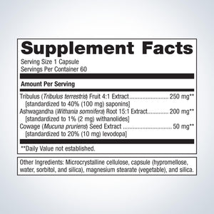 HisSynergy™ 1