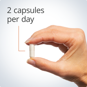 Bone Builder® Plus 2