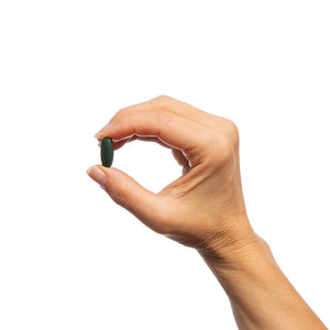 Insulin Guard 2