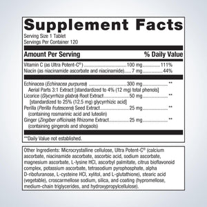 Echinacea Synergy™ 1
