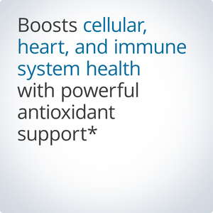 Quercetin 500 mg 3