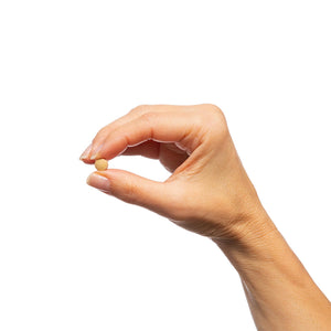 Milk Thistle Extract 2