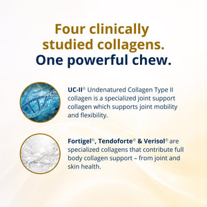 StayStrong+™ 4-in-1 Collagen Whole Body Chew 5