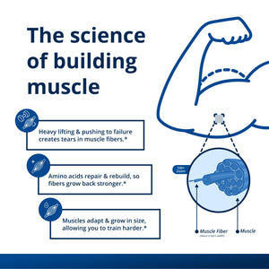 Muscle Gains Bundle 3